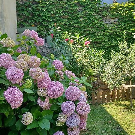 Les Glycines Bed & Breakfast Льо Виган Екстериор снимка